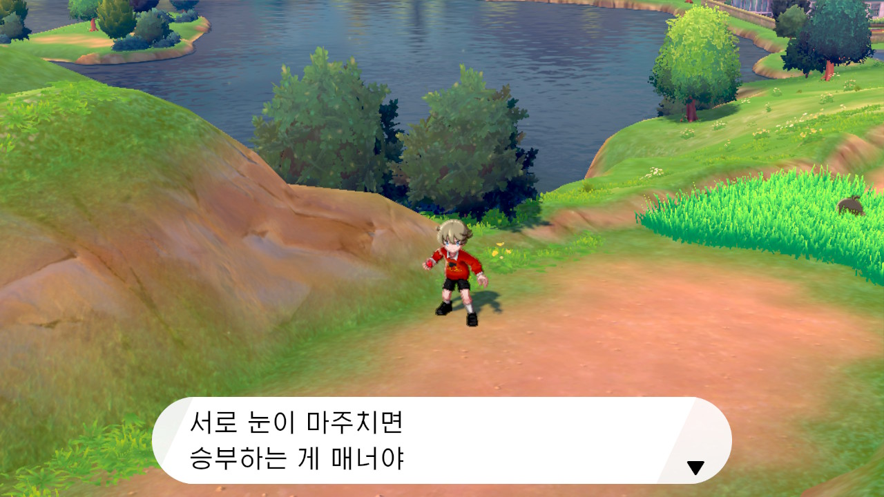 눈과 눈이 마주치면 포켓몬 배틀